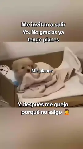 ##paratiiiiiiiiiiiiiiiiiiiiiiiiiiiiii🐹🐰 😭😂😂🤣🤣🤣🤣