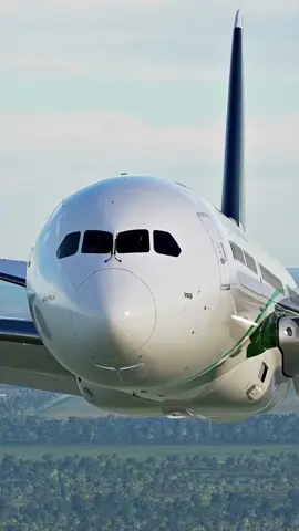 Iraqi Boeing 787 #aviation #aviationlovers #fyp 