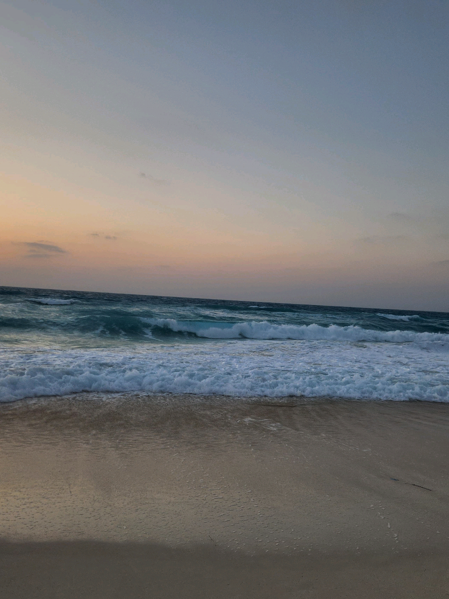 #sajedasamir #sea #مسار_اجباري 