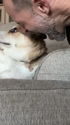Walter is tired of my 💩
