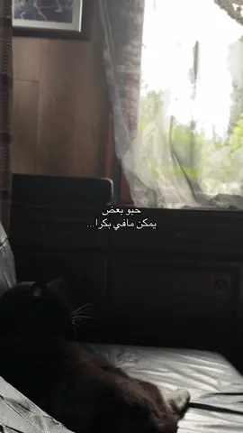 #المانيا #لك #اكسبلور #حب #اقتباسات #اقتباسات_عبارات_خواطر 