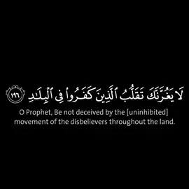لا يغرنك تقلب الذين كفروا في البلاد [آل عمران: ١٩٦] | الشيخ محمد اللحيدان كروما سوداء #قرآن #القرآن_الكريم #سورة_آل_عمران #محمد_اللحيدان 