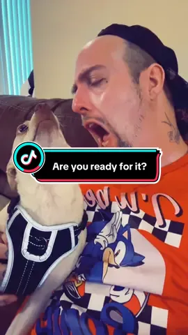 #jewelz821 #taylorswift #dogsoftiktok #simon 