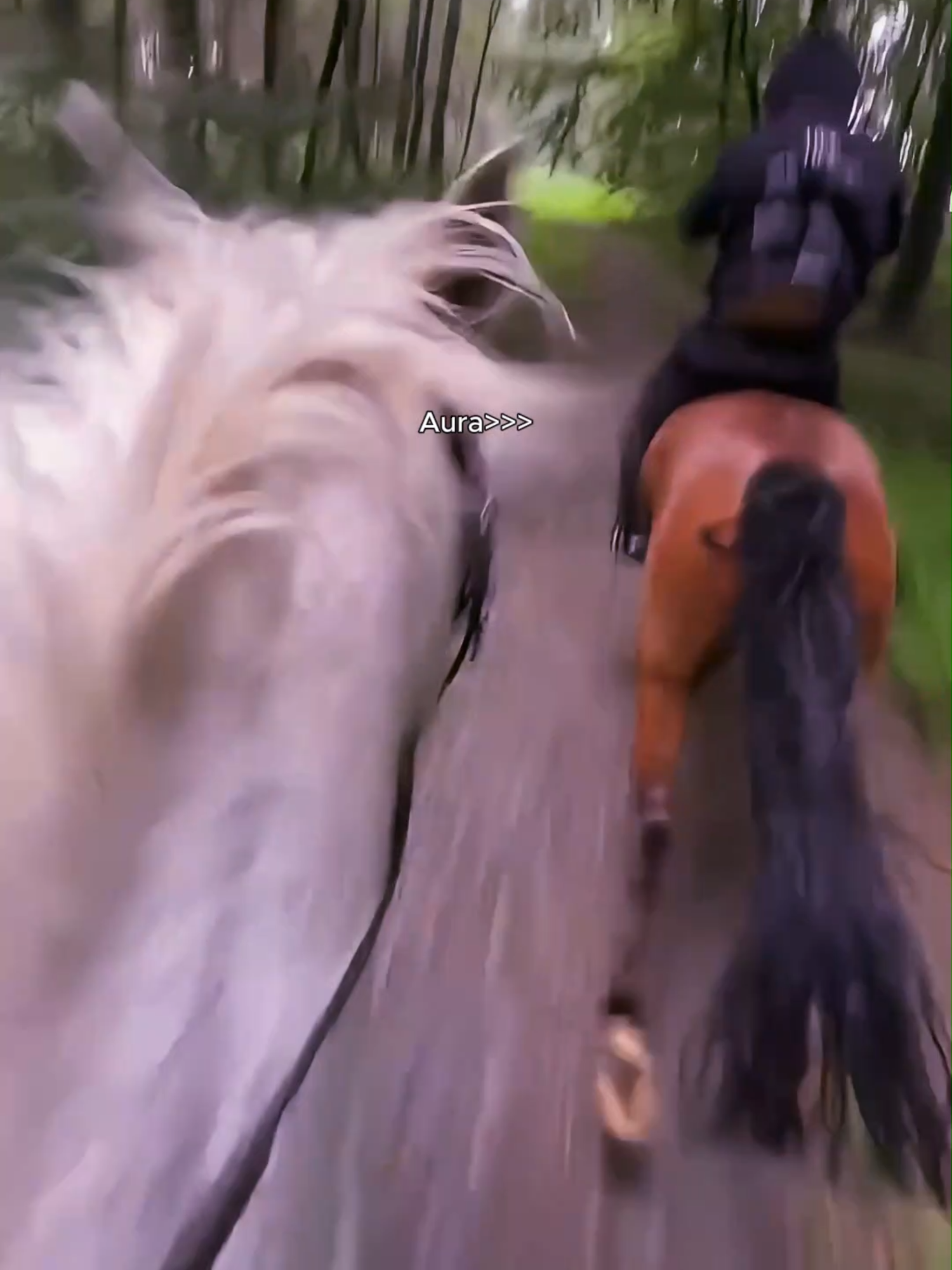 Song: VEKI VEKI (Slowed)😱​🔥​ @stinexbe  #fypシ゚ #viralllllll #horsetok