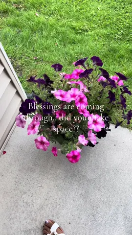 🌻 Who said that?? #fyp #foryou #blessings #message #manifesting #fypage 