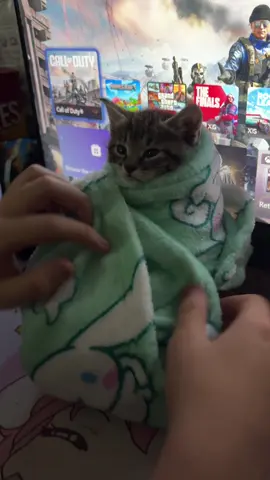 #fyp #kitty 