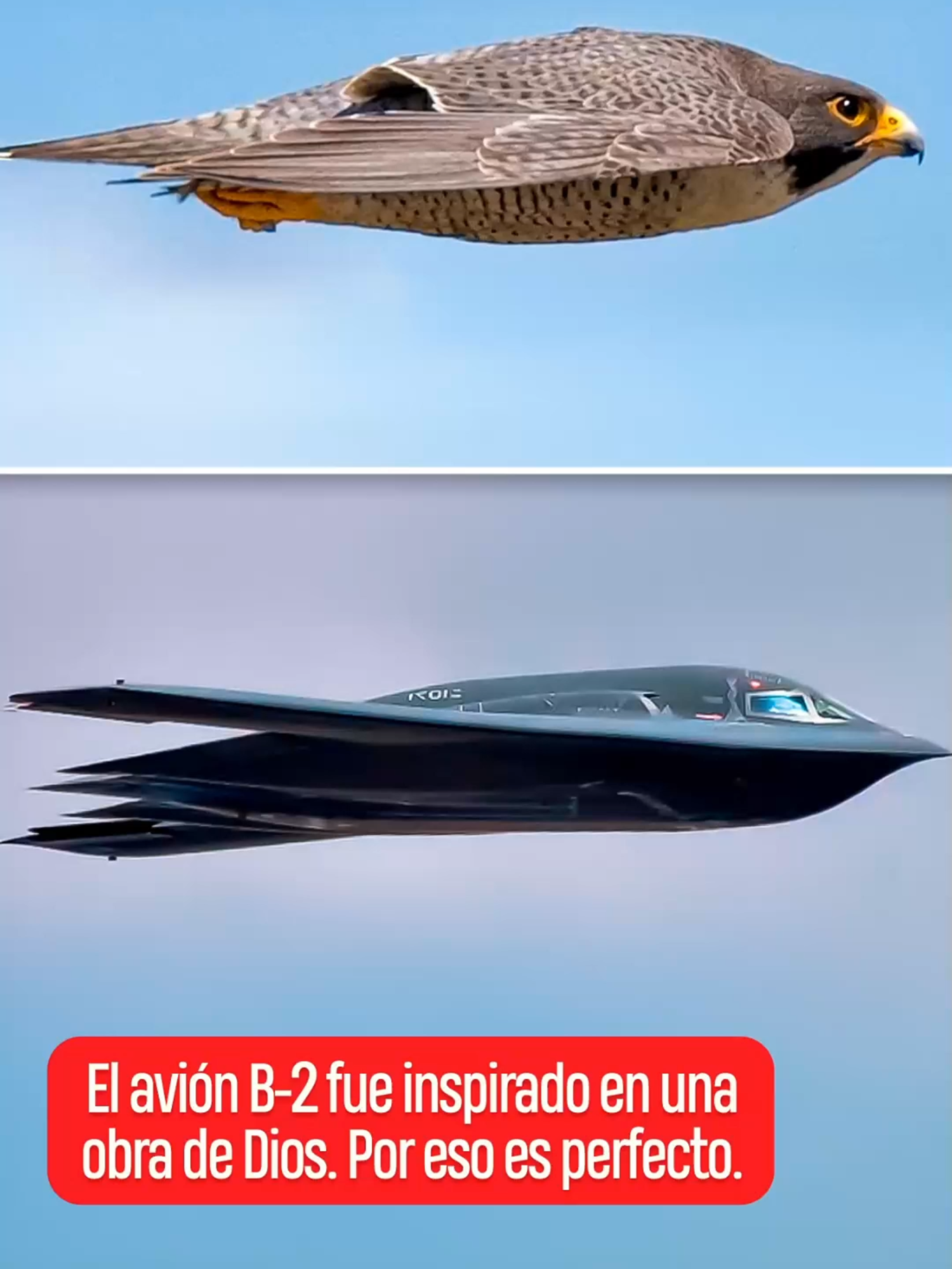 El avión B-2 fue inspirado en una obra De Dios. Por eso es perfecto | @paocastillooficial