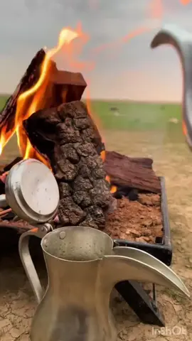#سبحان_الله_وبحمده_سبحان_الله_العظيم #اقتباسات_عبارات_خواطر #صباح_الخير #القصيم_بريده 