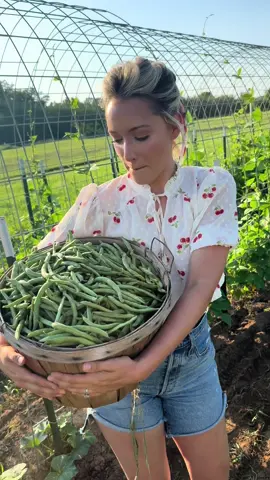 My wife’s backyard “garden” is more like a farm this year… #garden #gardening #greenbeans #plants #farm #homestead #homesteading #husbandwife 