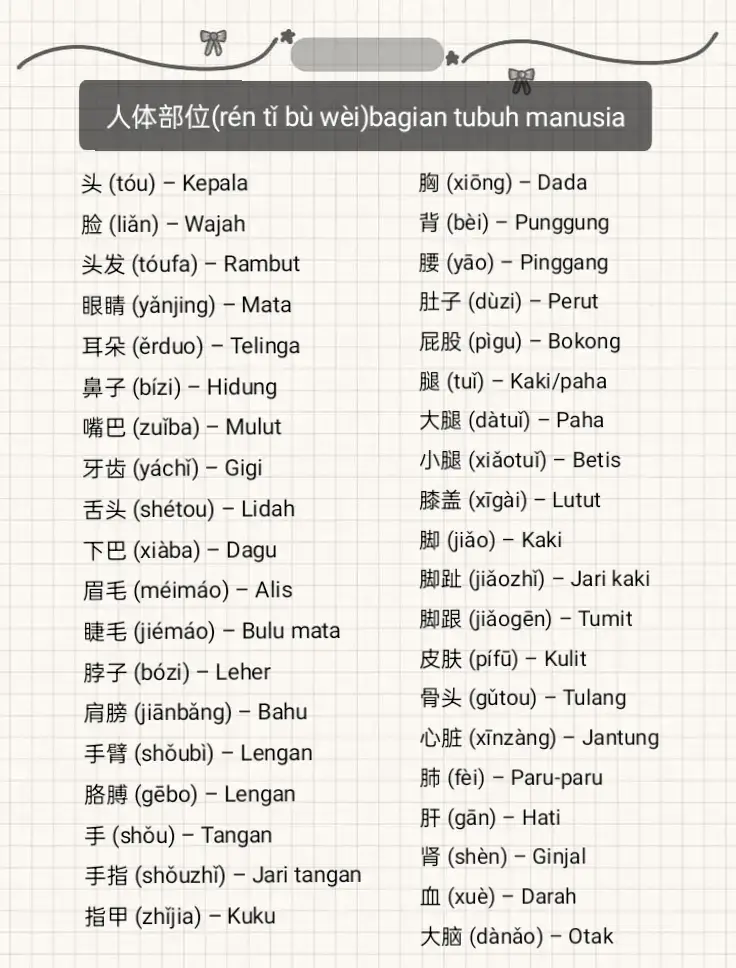 #creatorsearchinsights #belajarmandarin #belajarmandarinonline #belajarbahasamandarin #bahasamandarin #belajar #belajarditiktok #belajarbahasa #mandarinchinese #china #chinese #mandarin #tipsmandarin #belajarbareng #mandarinmudah 