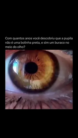 👁️✨ Sua pupila… não é uma bolinha preta! Pode até parecer… mas na verdade, o que você vê no centro dos olhos é um buraco! Isso mesmo: a pupila é uma abertura que controla a quantidade de luz que entra no seu olho. 🌞 Em ambientes claros, ela se contrai como um mecanismo de defesa, protegendo a retina de um excesso de luminosidade que poderia danificar suas células sensíveis. 🌙 Já no escuro, ela se dilata ao máximo, para captar toda a luz disponível e melhorar sua visão noturna. É um ajuste automático e preciso, comandado pelos músculos da íris, a parte colorida do olho. 🔬 E por que a pupila parece preta? Porque quase toda a luz que entra ali é absorvida pela retina, e muito pouca volta para sair. Resultado? Vemos um “ponto negro” no centro, que na verdade é a entrada para o mundo interno da sua visão. 👨‍🔬 Um detalhe simples, mas que revela o quanto seu corpo é uma verdadeira obra-prima de engenharia biológica. 👉 Curtiu essa curiosidade? Então salva, compartilha com os amigos e segue a página pra aprender mais sobre os mistérios do corpo humano! #Ciência #Curiosidades #OlhosHumanos #Anatomia #Biologia #Pupila #FisiologiaHumana #MistériosDoCorpo #CorpoHumano #EntreMundosEEstrelas