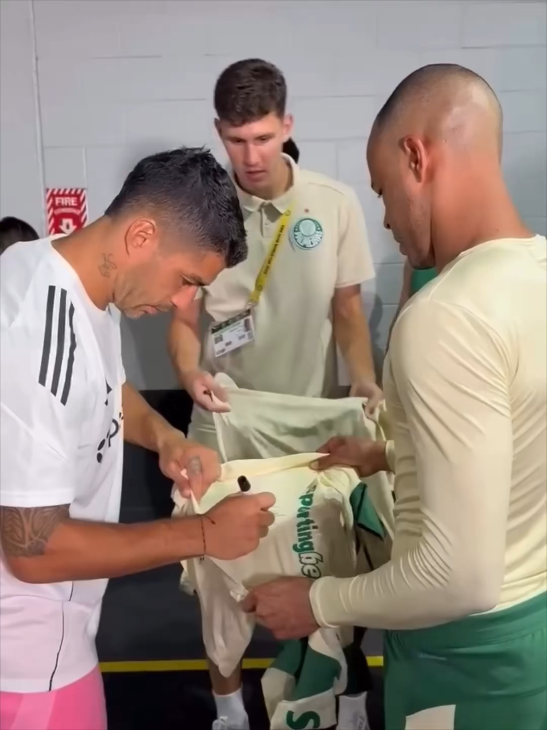 ¡Luis Suárez firmó camisetas… pero no de sus fans! 🖊️👕 Tras el partidazo que se aventó ante el Palmeiras, el uruguayo fue rodeado por varios jugadores… ¡pero del equipo rival! 🤝 Uno a uno, los futbolistas brasileños se acercaron con camisetas para que el Pistolero les dejara su autógrafo. ✒️ ¿Se puede tener más respeto que este por una leyenda del fútbol mundial? ✨⚽ #FIFACWC #MundialDeClubes #Palmeiras #InterMiami #LuisSuárez