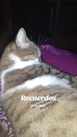 #Recuerdos