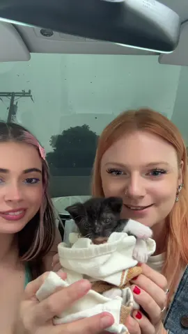 Look what @NERIAH and I found 😩