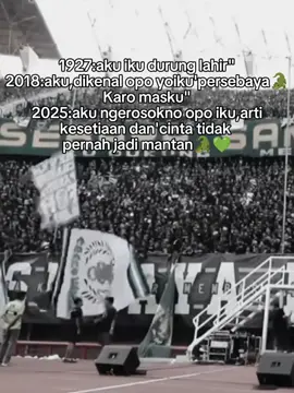 PERSEBAYA SAKLAWASE💚🐊#bonek#persebayafans💚#emosijiwaku🐊 