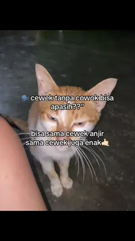 bisa semuanya malahan🤏🏻#fhemeindo🌈 #wlw 