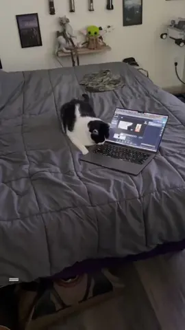 Day 2 of 75 Hard Challenge for Writing. I got a late start today! But I still manage to meet all my goals!! On to day 3! #75DayHardChallenge #75DayChallenge #75DayChallengeWriting #writing #writingvlog #Vlog #author #writer 