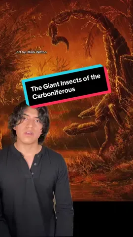 #prehistoric #animal #nature #evolution #insects 