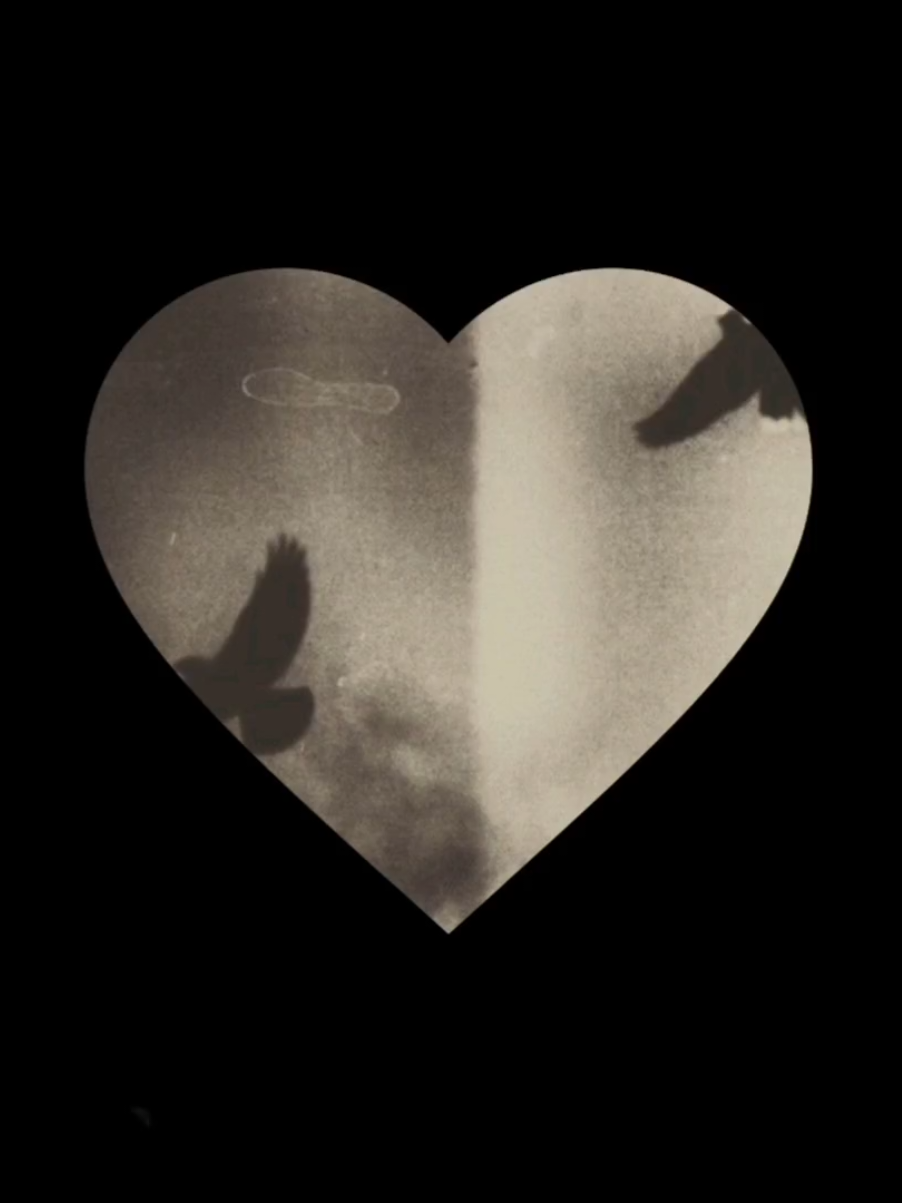 #flawless ☆ #theneighbourhood : #lyrics #music #aesthetic #dreamcore #foryou #foryoupage #sounds #vaiprofy #gofy #goforyou #tradução #tiktok @TikTok 