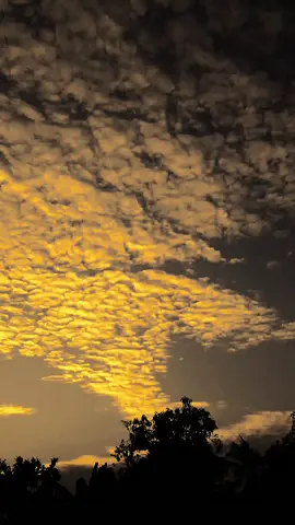 الحب الحقيقي هو الحب الذي يقربنا من الله 
