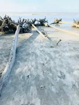 ❤️‍🩹😅#fy #foryoupage #fyppppppppppppppppppppppp 