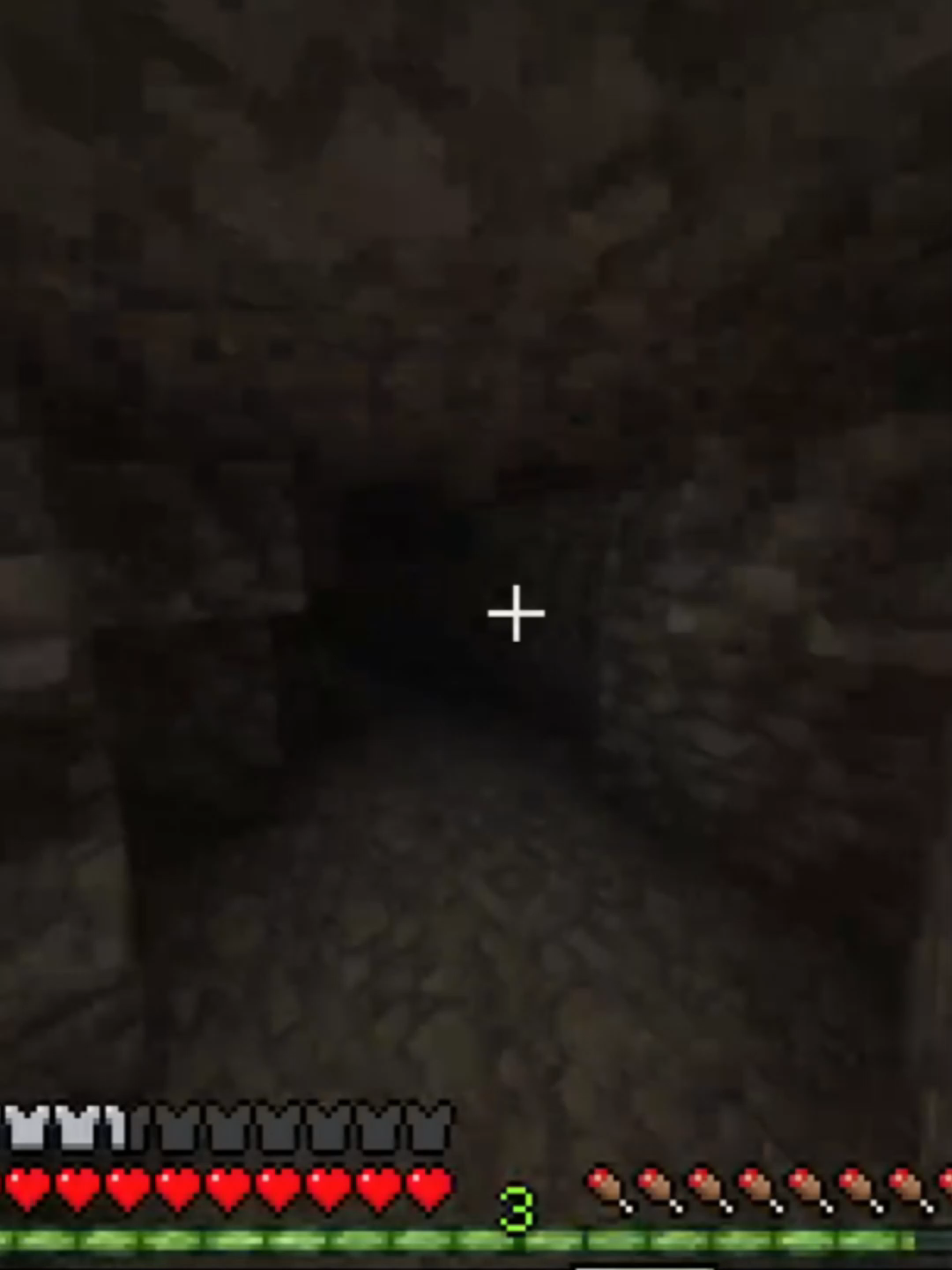 El peor temor#Minecraft #JobAplication #minecraftmeme