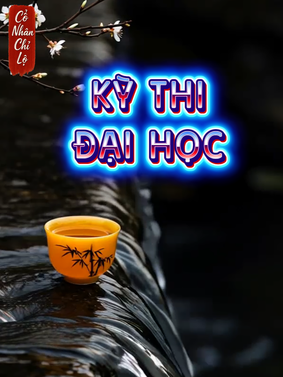 Kỳ thi đại học là gì?  #conhanchilo #trietlycuocsong #TrietLySong #thidaihoc2025