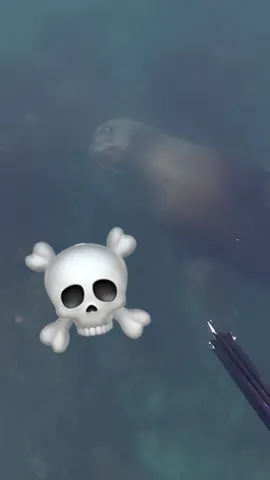 You’re on the wrong side of town ahh stare 