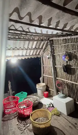 Đợi chờ hoài nỉ non kia🥰#69camau❤️ 