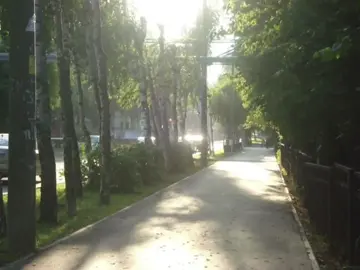 СМН-а может да