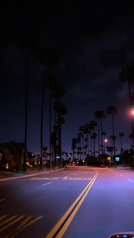 “Some Nights Feel Like A Movie You Never Want To End” #LA #losangeles #california #dtla #downtownla #downtownlosangeles #laviews #losangelescalifornia #cityofangels #socal #californiacheck #cali #westcoastbestcoast #palmtrees #nightdrive #night #latenight #spot #view #photography #cinematic #aesthetic #filmedit #viral #trending #fyp #relatable #real #xyzbca