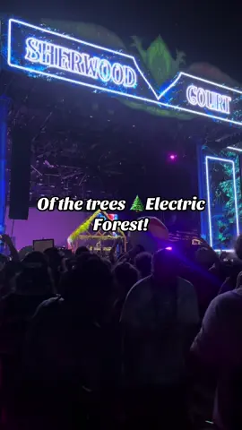 Of the trees #ofthetrees #electricforest #musicfestival #edm #ravetok #fyp #foryou