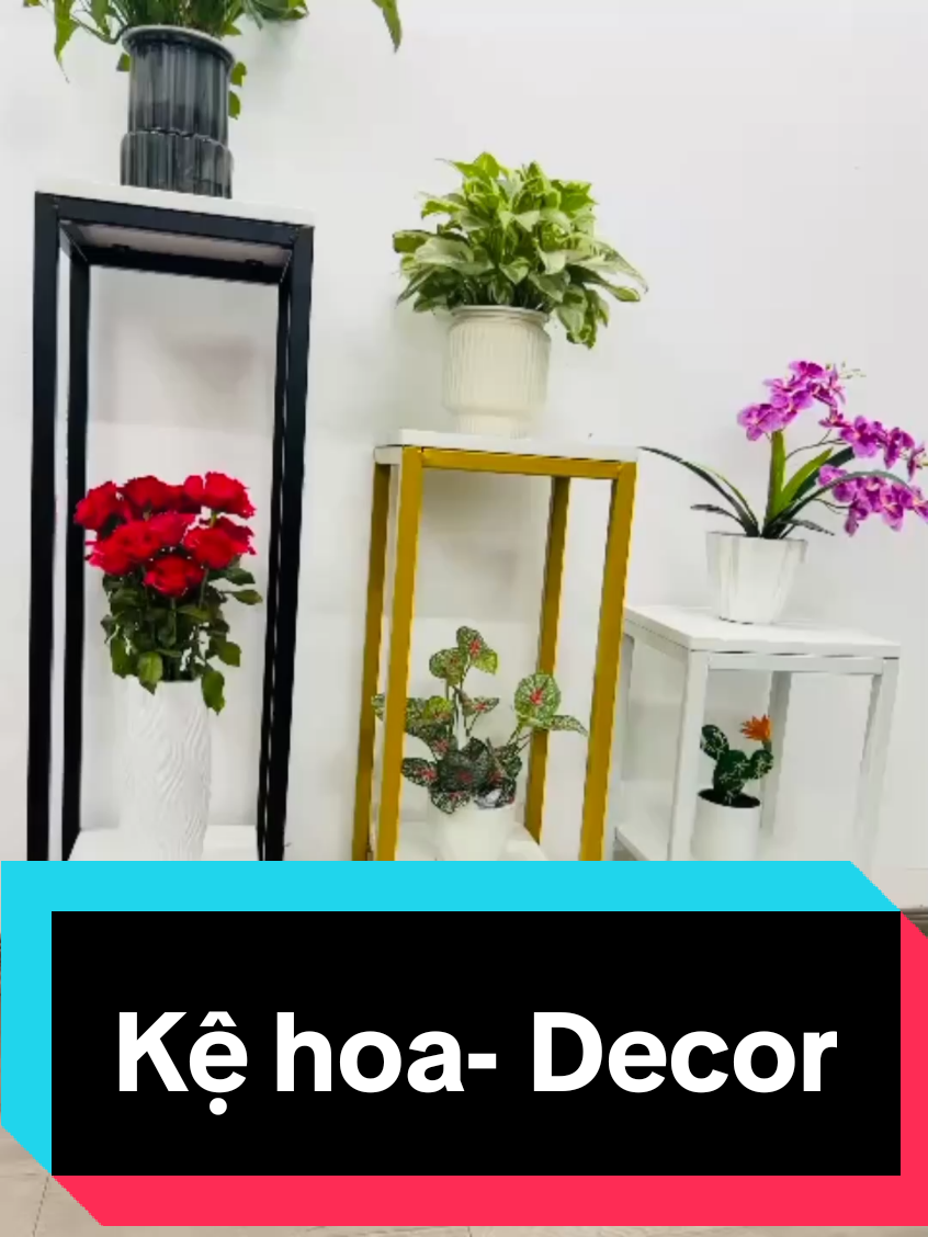 Kệ để hoa- decor phòng trà, quán cafe  #thanhmocaophukien #kephukien #kehoa #tiktok2025 #xuhuongtiktok2025 #fyp 