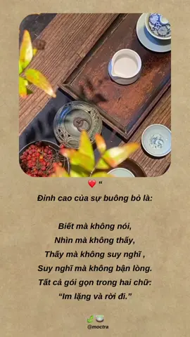 ❤️ “Đỉnh cao của sự buông bỏ là: Biết mà không nói, Nhìn mà không thấy, Thấy mà không suy nghĩ , Suy nghĩ mà không bận lòng. Tất cả gói gọn trong hai chữ: “Im lặng và rời đi.” #moctra #tradao #anyen #binhyen #moctraanyen #xuhuong #trend2025 #cuocsong #tamtrang 