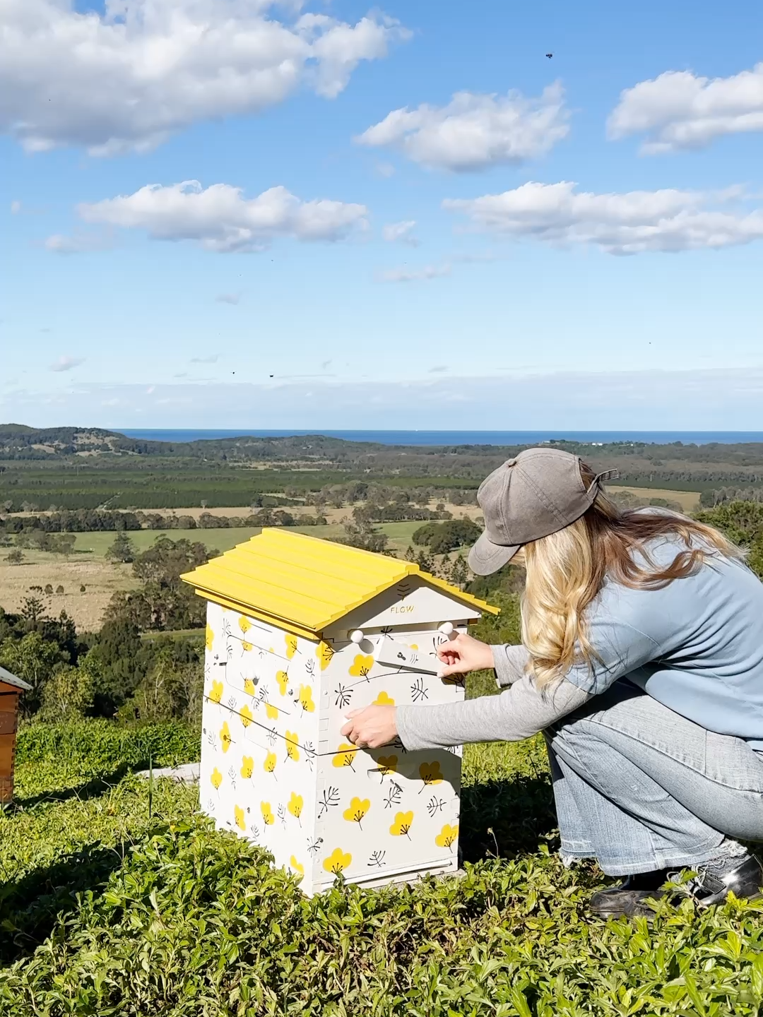 Pure Honey, Straight into Your Jar 🍯 Enjoy the magic of beekeeping with the Flow Hive Classic—featuring our patented Flow Frames that make harvesting easier for you and gentler on the bees. Crafted from sustainably sourced Araucaria wood, these hives are a beautiful and functional addition to any apiary. ⏳ Final hours! Don’t miss out on your bonus $50 e-Voucher—offer ends soon! 👉 Link in bio