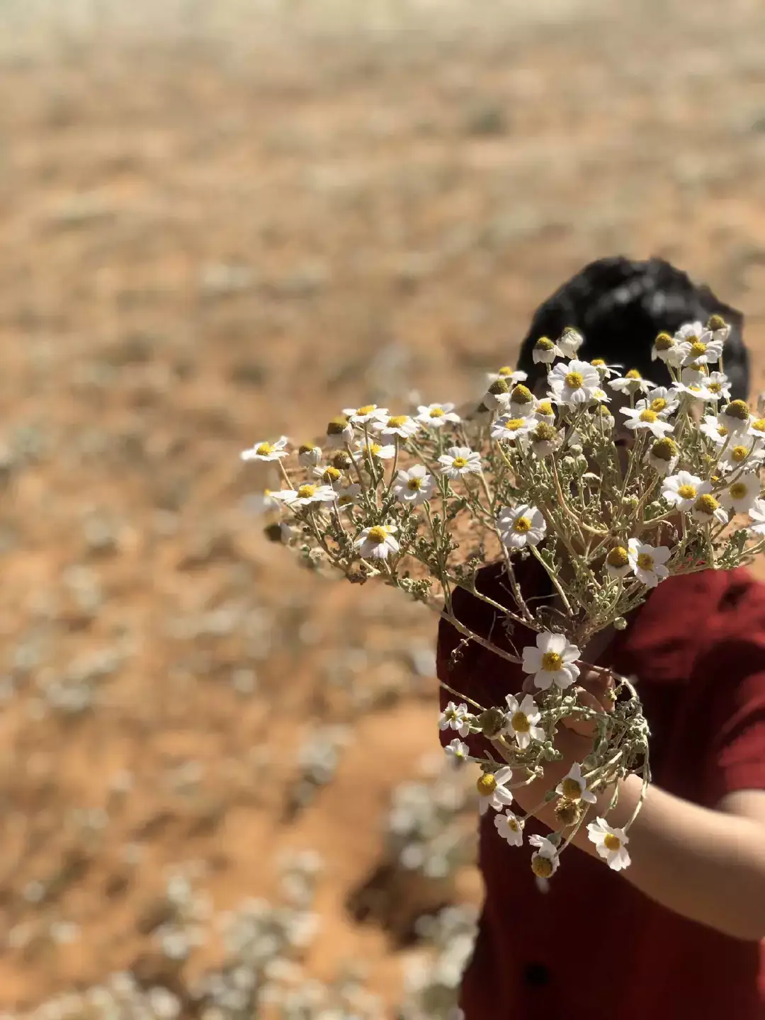 #رابح صقر#حي الله اللي بالحلا ماكل الجو عود