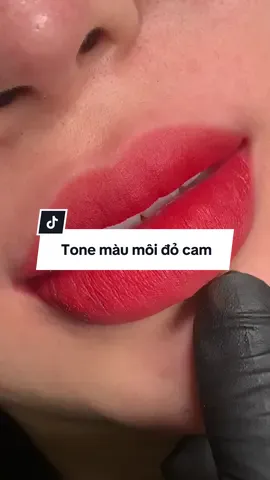 Môi mới vừa phun xong nhen mấy chị 🥰 mịn tưng #phunxamthammy #phunmoi #khuthammoi #chuyenxulimoitham #maumoidep #phunmoidep 