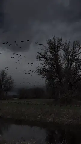 #dark nature 