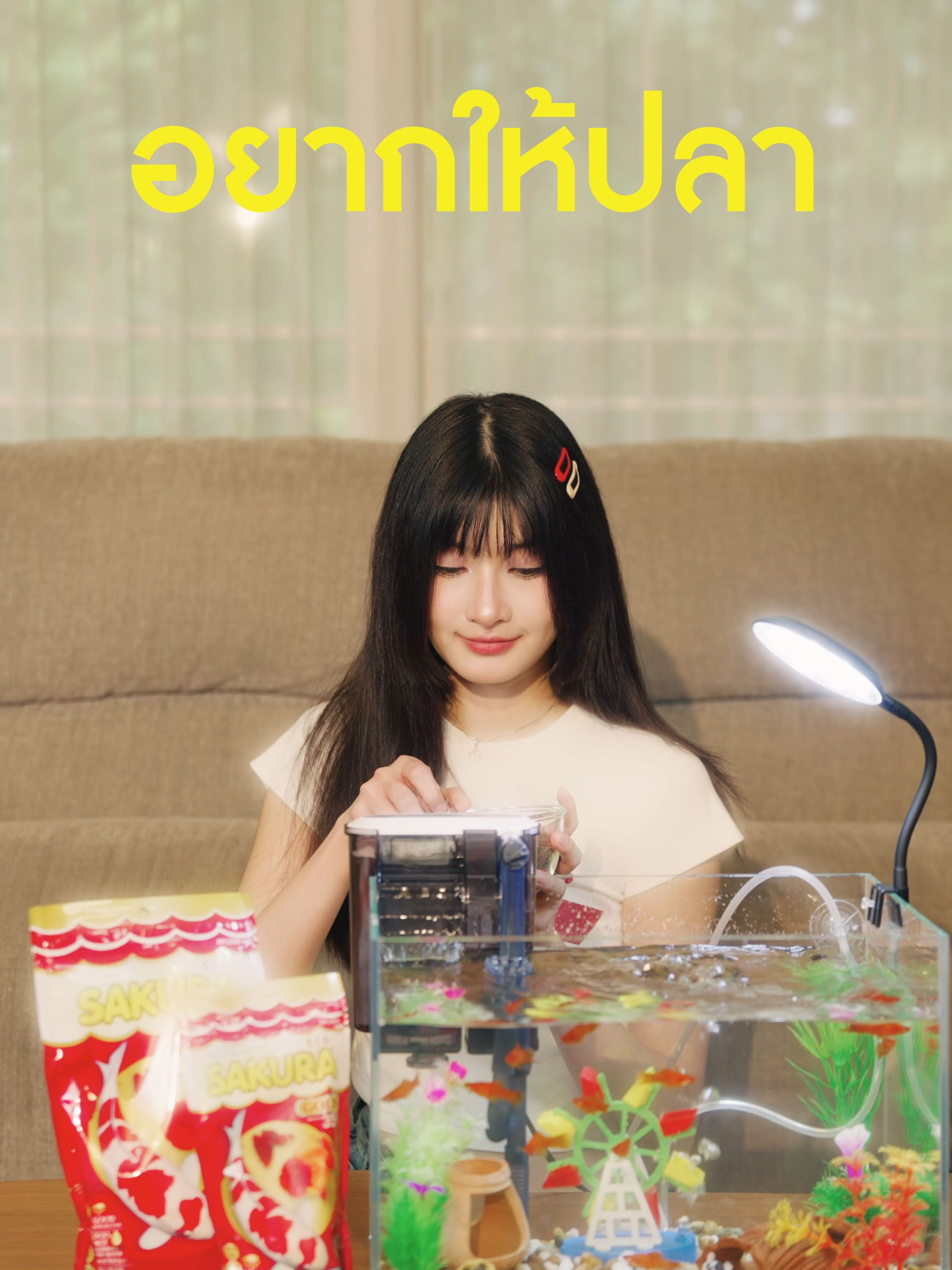 อยากให้ปลาโตไว สีสวย ต้องอาหารปลาซากุระโกลด์ เพราะมีโปรตีนถึง 35%  #อาหารปลา #อาหารปลาโปรตีน35%    #อาหารปลาซากุระ #ซากุระโกลด์ #SakuraGold #รักน้ำรักปลารักซากุระ #เลือกความคุ้มค่าเลือกซากุระโกลด์ #เร่งโตเร่งสีเร่งวุ้นเม็ดสามสีโปรตีน35