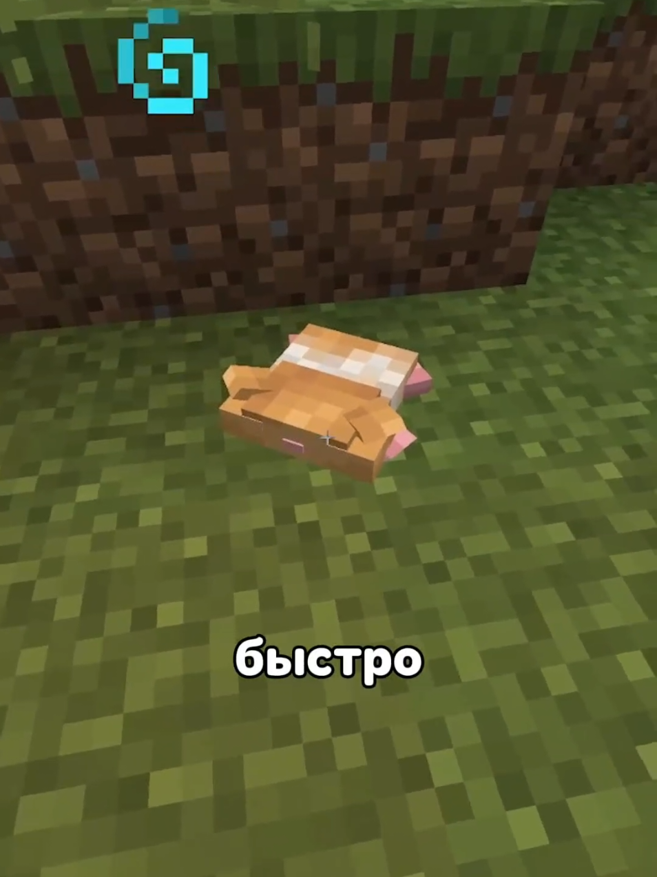 Наконец то это произошло!! #Minecraft #майнкрафт 