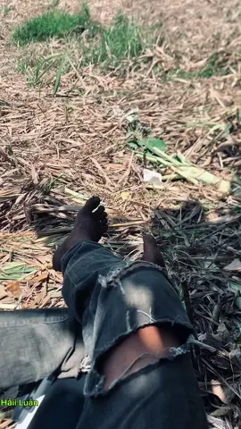 Cappppgif hay ném qua đây 😂
