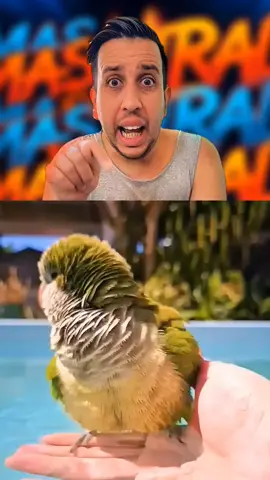 Me flipa este video #videoviral 