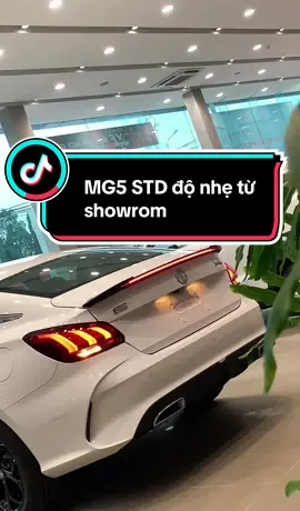 Độ nhẹ Mg5 STD từ Mg Đồng Nai #mg5 #mgdongnai 