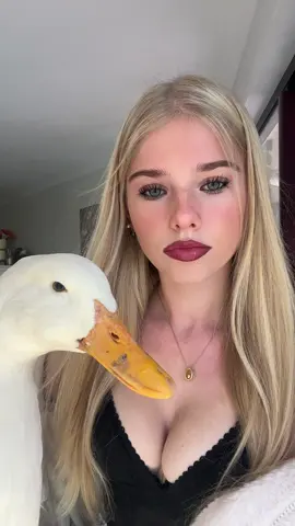ducky #duck 