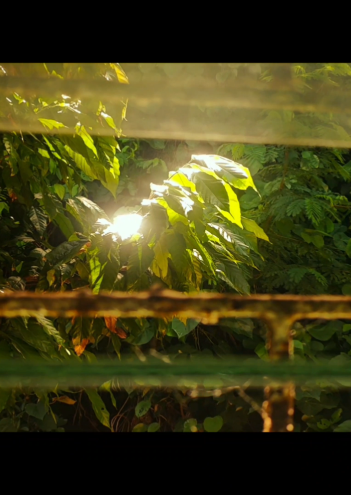 must've been the wind.. #fyp #fy #cinematography #school #editing 