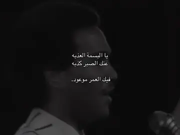 ريانة العود ، نادي الليالي تعود.  #محمد_عبده 