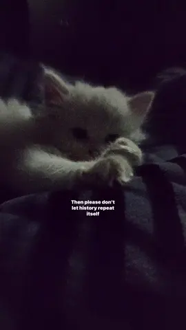 #lyrics 