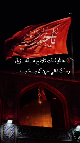 #السلام #عليك ##يااباعبدالله_الحسين #ياحسين #ياحسين❤️😭 #ياحسين_يامظلوم #ياحسين_ياشهيد_كربلاء_دخليك_💕🥺ياحسين #ياحسين 
