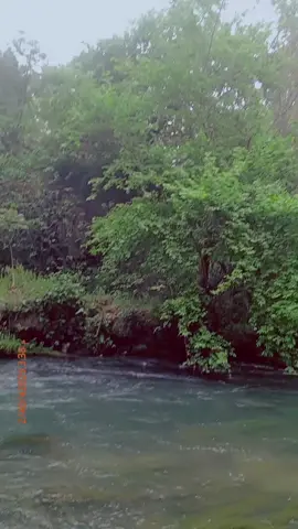 #مين#نزل#عسوريااااا ❤