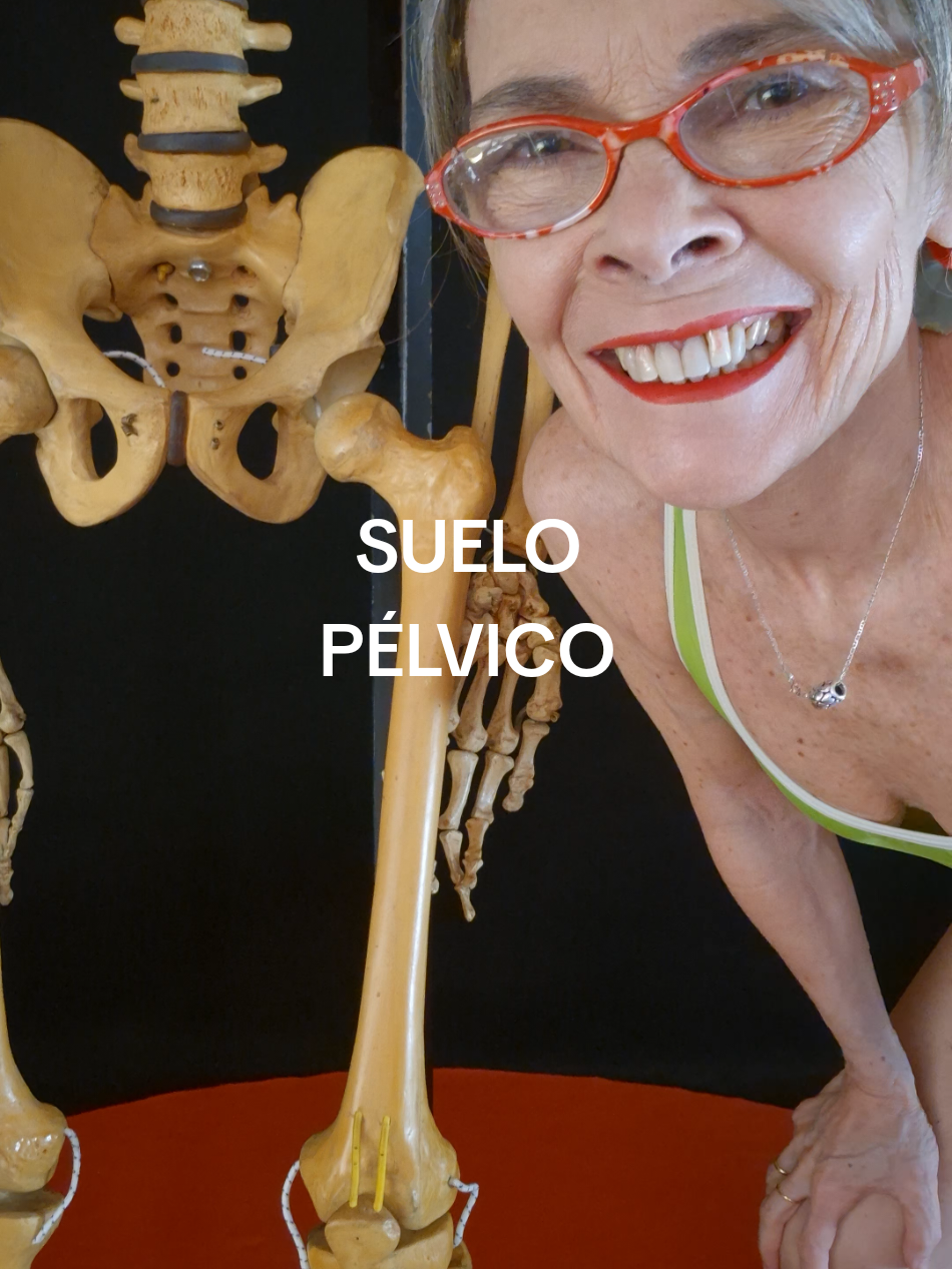 Suelo pélvico  #gimnasiaencasa #pilates #yogaflow #yoga #saludable #salud #Fitness #fitnessmujer #gimnasia #verler #deportes #veronicalercari #fit #kinesiologia #kiné #traumatologia #terapiafísica #danza #gimnasiaverler #cuerpohumano 